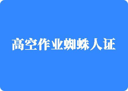 少罗和男的操高空作业蜘蛛人证